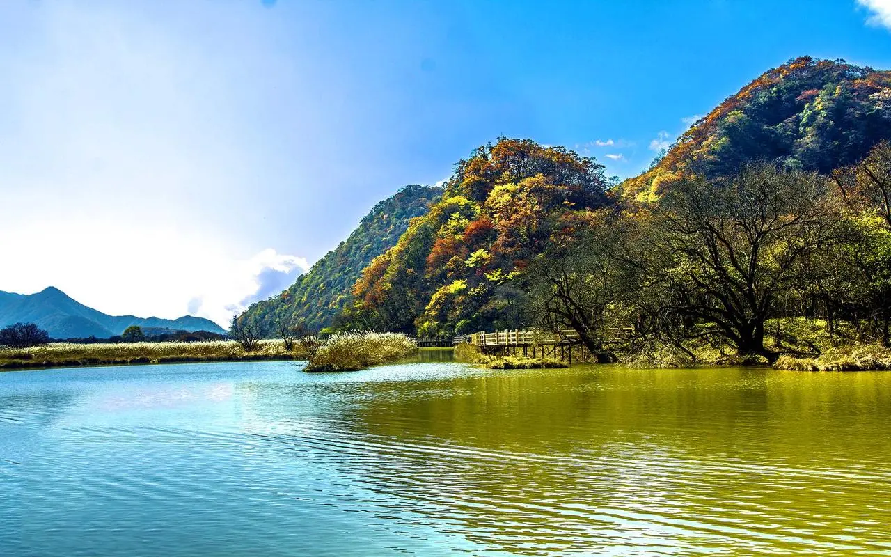 高性能高性能